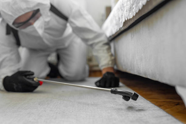 Professional Bed Bug Control technician working in La Grange, TX